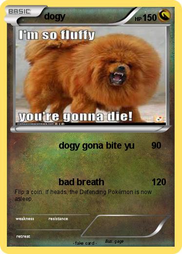 Pokemon dogy