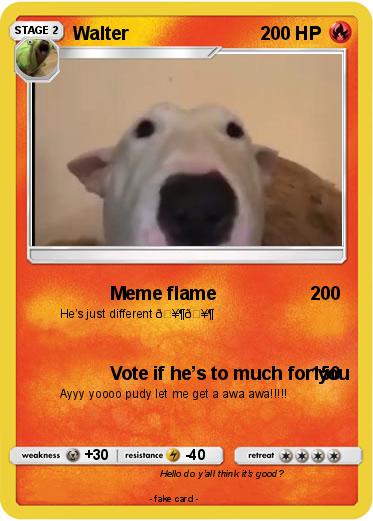 Pokemon Walter