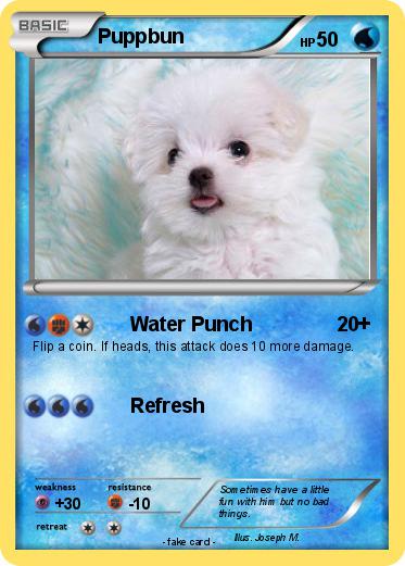 Pokemon Puppbun