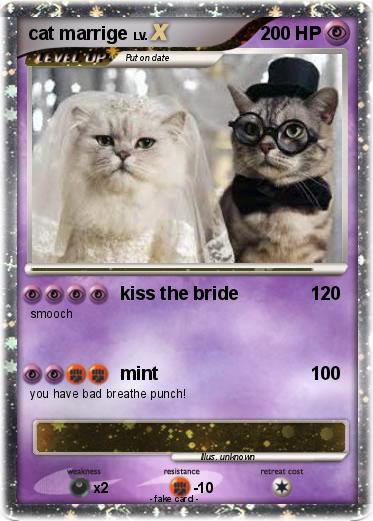 Pokemon cat marrige