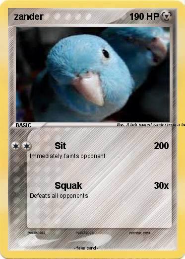 Pokemon zander