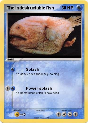 Pokemon The indestructable fish