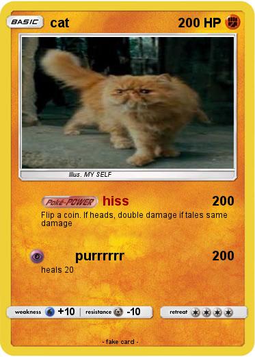 Pokemon cat