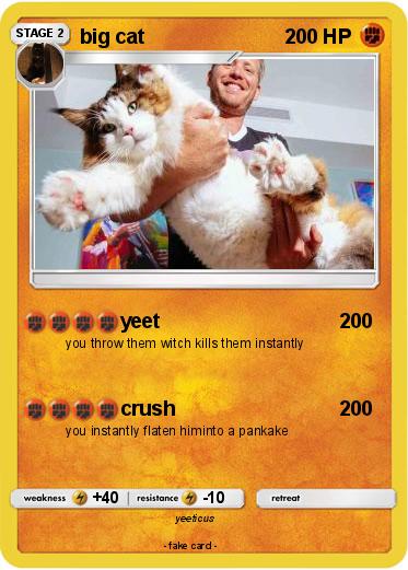 Pokemon big cat