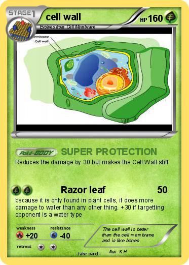 Pokemon cell wall