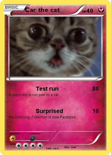 Pokemon Car the cat
