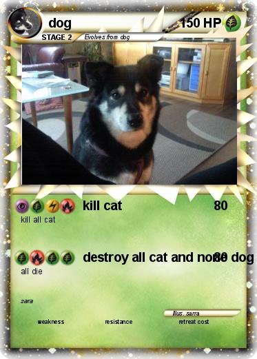 Pokemon dog