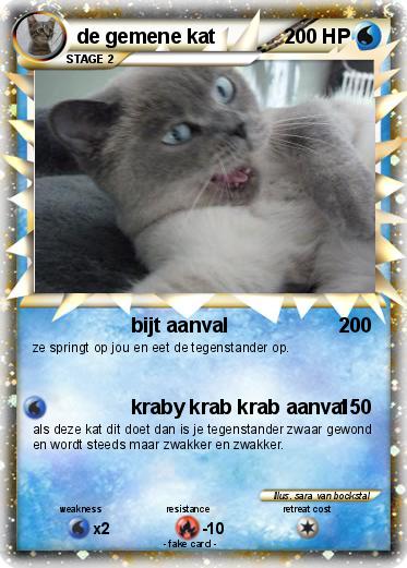 Pokemon de gemene kat