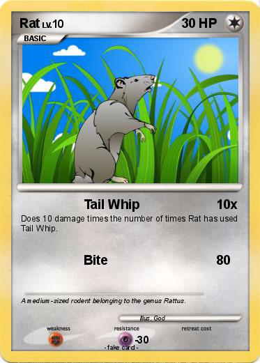 Pokemon Rat