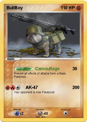 Pokemon BullBoy