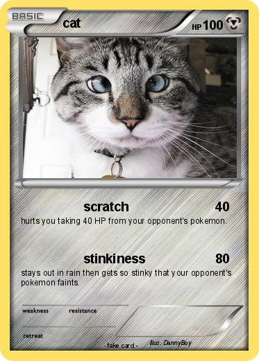Pokemon cat