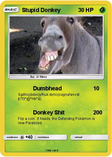 Pokemon Stupid Donkey