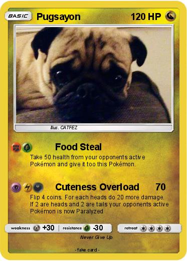 Pokemon Pugsayon