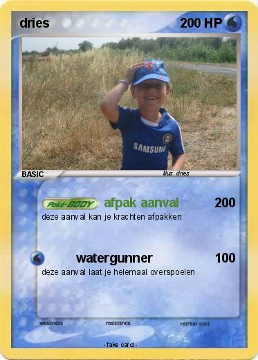 Pokemon dries