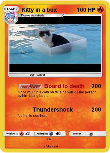 Pokemon Kitty in a box