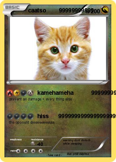 Pokemon caatso        99999999999