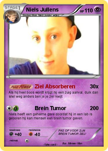 Pokemon Niels Jullens