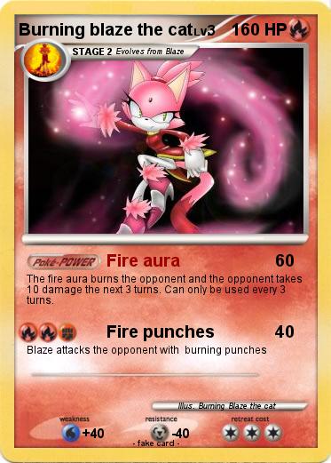 Pokemon Burning blaze the cat