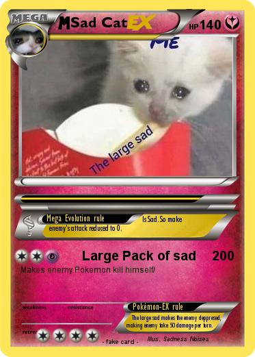 Pokemon Sad Cat