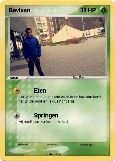 Pokemon Baviaan