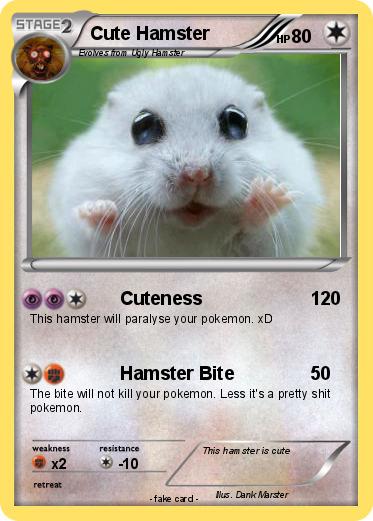 Pokemon Cute Hamster
