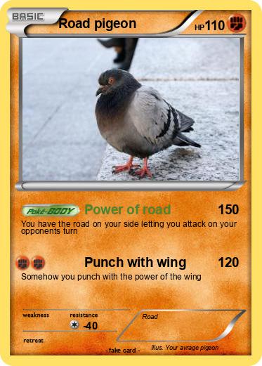Pokemon Road pigeon