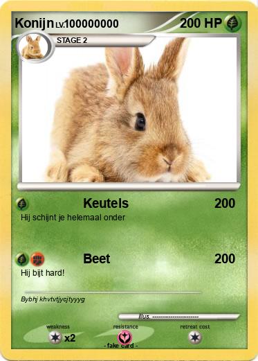 Pokemon Konijn