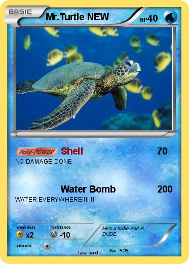 Pokemon Mr.Turtle NEW