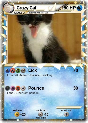 Pokemon Crazy Cat