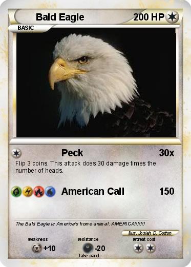 Pokemon Bald Eagle