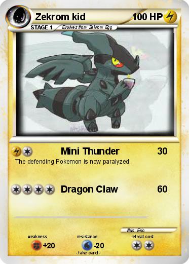 Pokemon Zekrom kid
