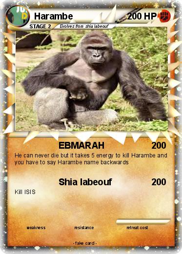 Pokemon Harambe