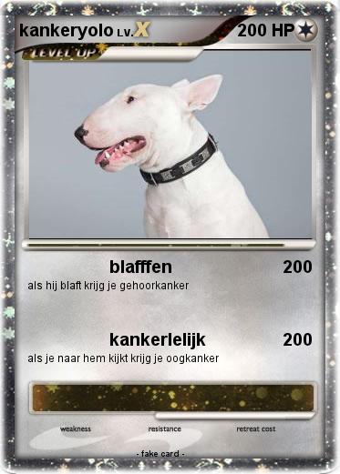 Pokemon kankeryolo