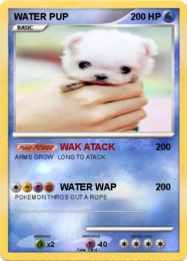 Pokemon WATER PUP