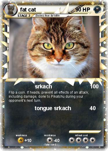Pokemon fat cat