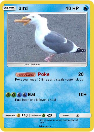 Pokemon bird