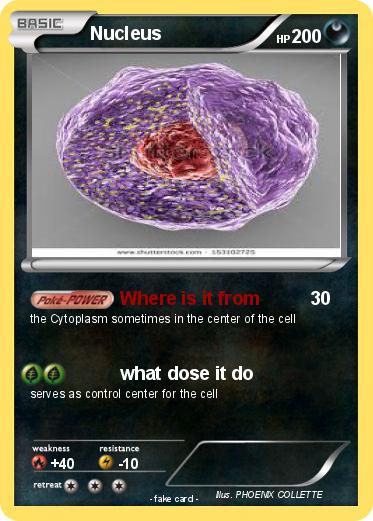 Pokemon Nucleus
