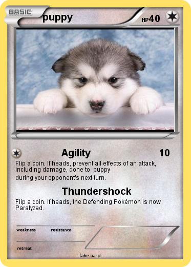 Pokemon puppy