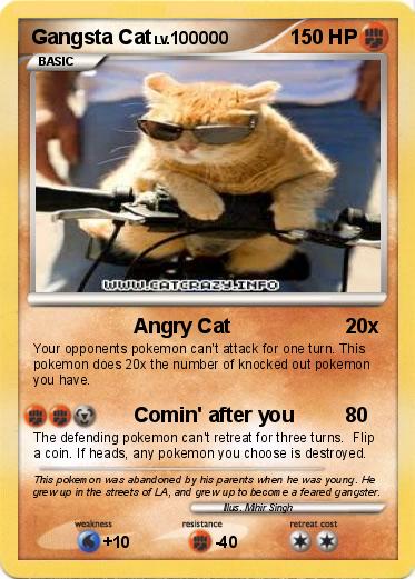 Pokemon Gangsta Cat