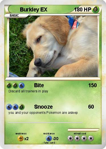 Pokemon Burkley EX
