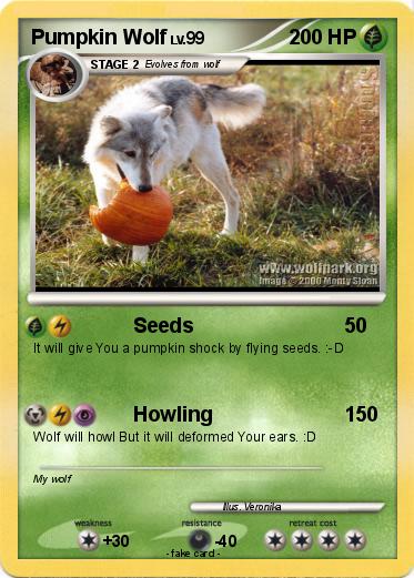 Pokemon Pumpkin Wolf