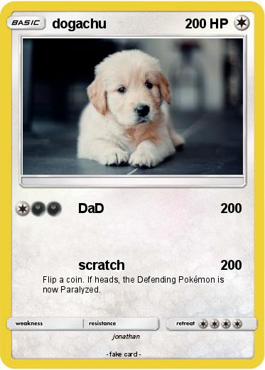 Pokemon dogachu