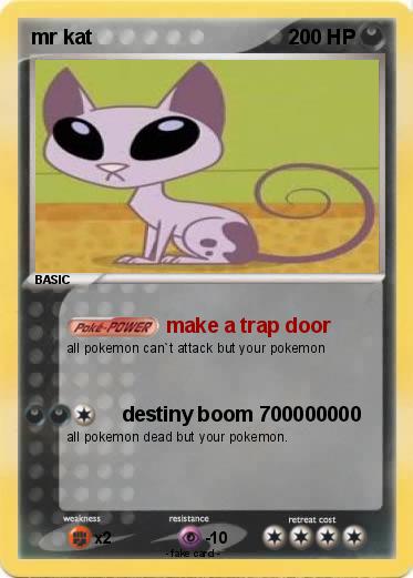 Pokemon mr kat