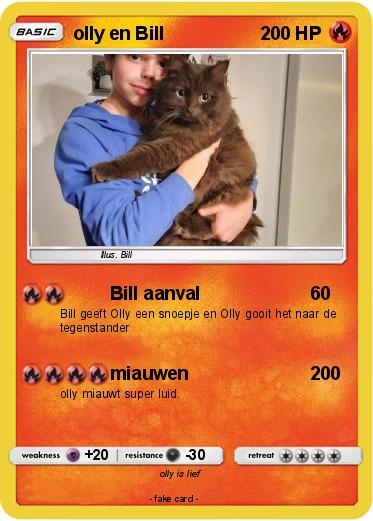 Pokemon olly en Bill