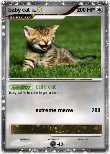 Pokemon baby cat