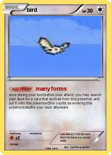 Pokemon bird