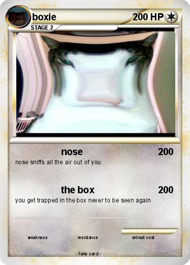 Pokemon boxie
