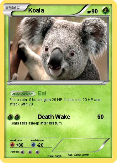 Pokemon Koala