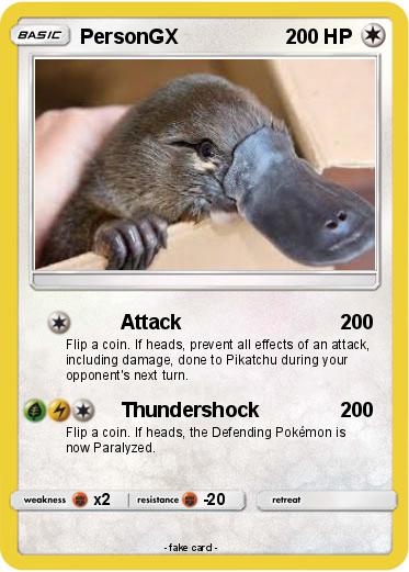 Pokemon PersonGX
