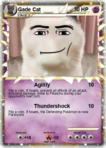 Pokemon Gade Cat